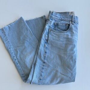 Everlane Sky Blue Ankle Cheeky Jean